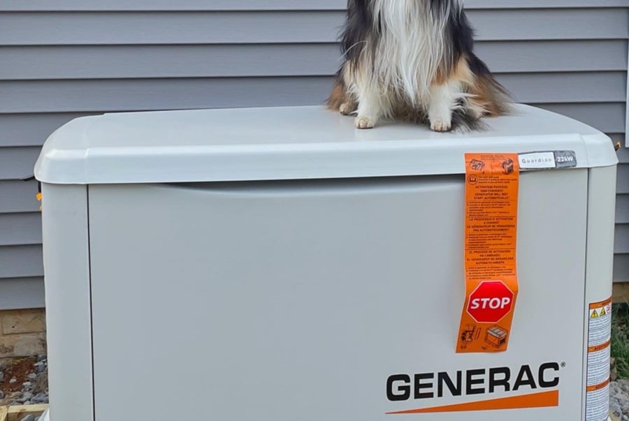 Martin County Generac Service Provider Electrician a Puppy Sitting on a Generac Generator Next to a House