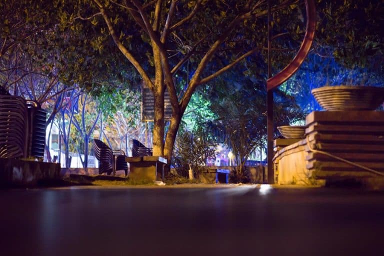 Best Exterior Lighting Electrician in West Palm Beach View of Landscaping Lighting with Blue, Green and Purple Lighting in Trees